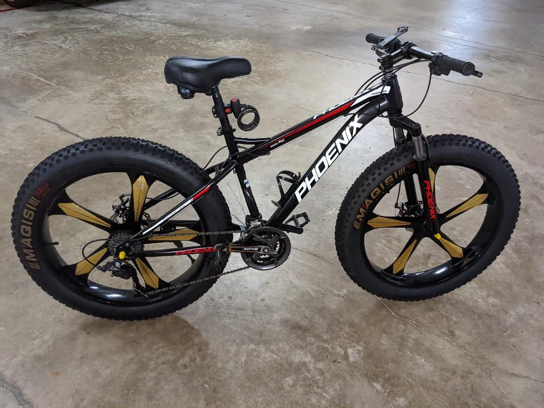 Phoenix fat bike new arrivals