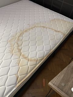 Mattress and sofa cleaning service