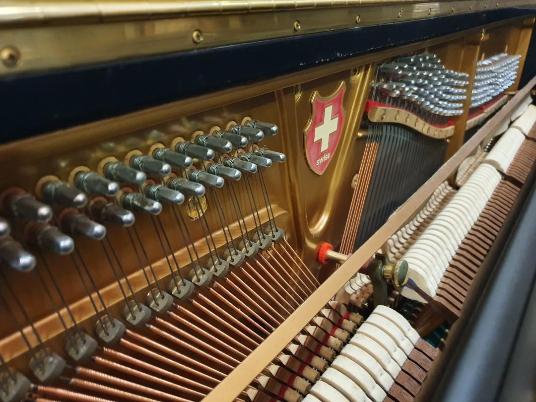 Wilhelm Tell "132 Zurich" Upright Piano, Hobbies & Toys, Music & Media