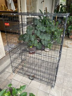 (Category: ) located in . Submitted by rafa.manila (Listing ID 1138648594, Image 1). Description: .