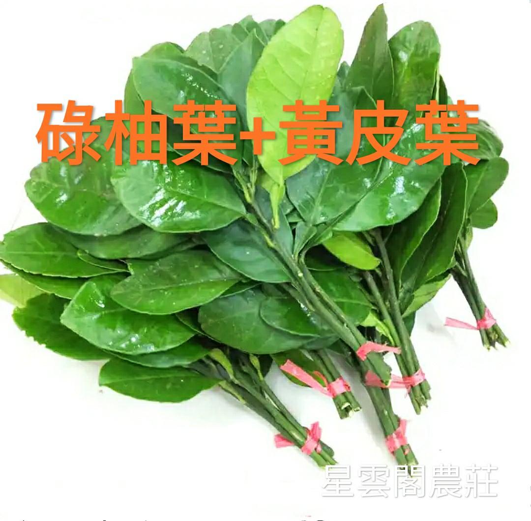 碌柚葉+ 黃皮葉(一扎) 孕婦洗頭 去除衰氣 洗走衰氣 好運 黑仔 轉運改運 沖涼 洗澡 洗面 星雲農莊, 美容&個人護理, 沐浴&身體護理 ...