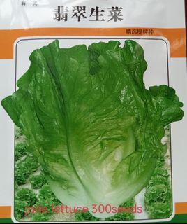 Assorted vegetables seeds offer, $1 each buy 5 get one free 蔬菜种子特价促销， 每包$1， 买5送一