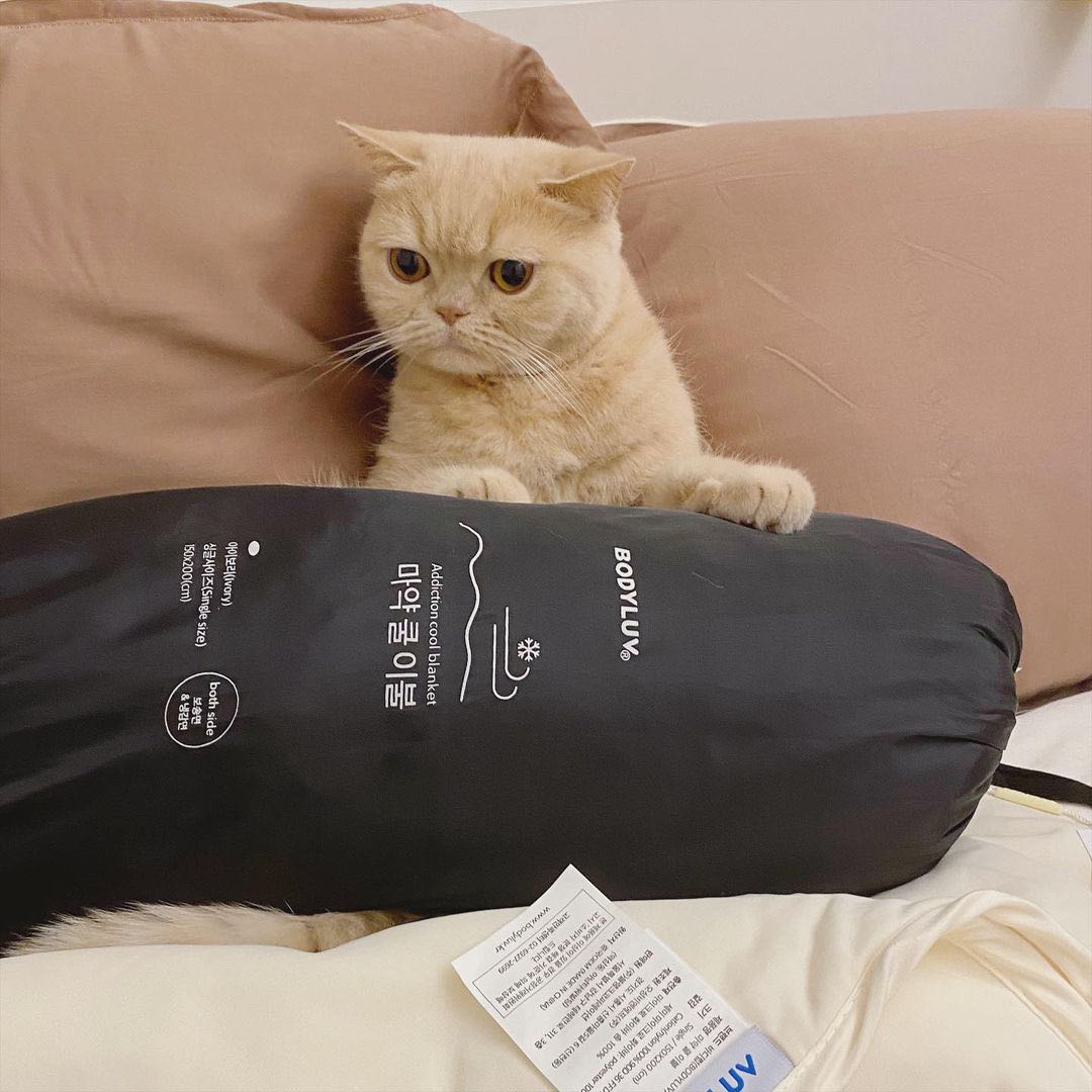 Bodyluv blanket 2025