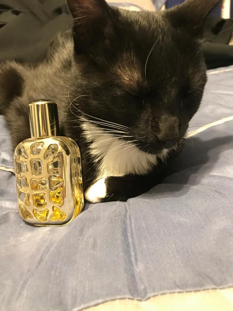 FURIOSA BY FENDI NEW IN BOX 100ML EAU DE PARFUM SPRAY WOMEN