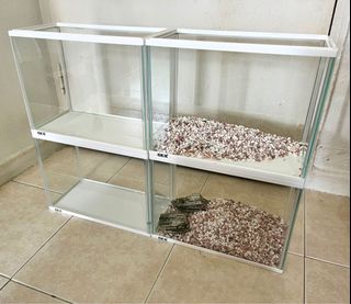 (Category: ) located in . Submitted by midnight.ray (Listing ID 1138632952, Image 1). Description: .