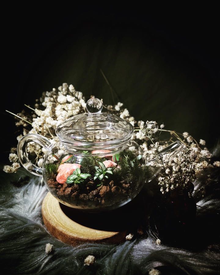 Glass Teapot Terrarium Name Dormouse Tea Party, Furniture & Home