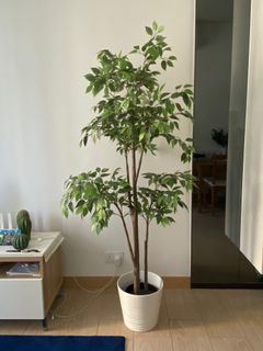 （分類：）位於 。 由 ajanec 提交（商品編號 1138552670，圖片 1）。簡介： 。