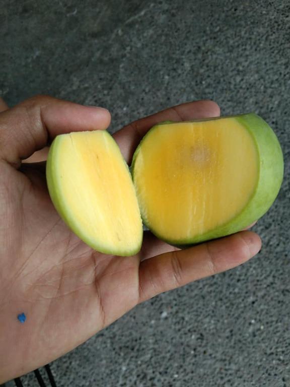 Indian Mango With Alamang, Food & Drinks, Fresh Produce on Carousell
