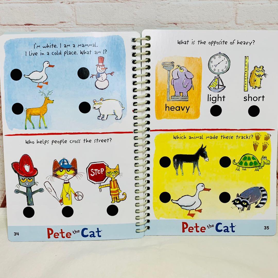 Hot Dots® Jr. Pete the Cat® - Your Groovin' Schoolin' Friend Pen (1  Piece(s))