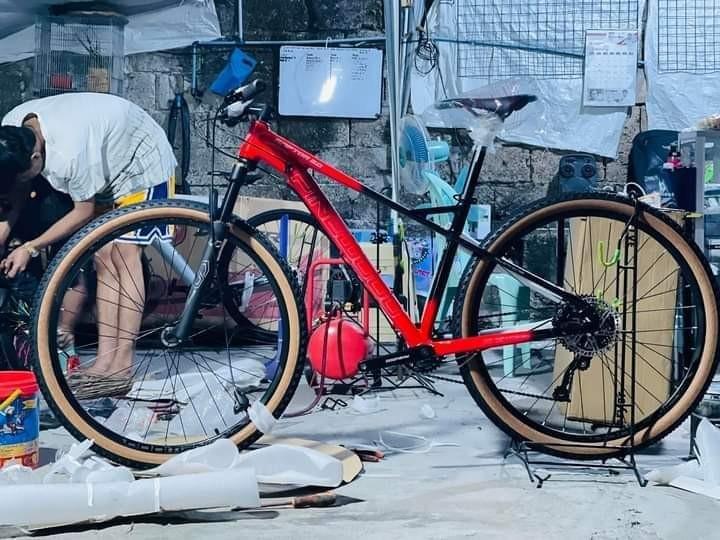 Pinewood bike cheap 29er price