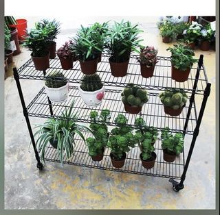 (Category: ) located in . Submitted by sgwaterfall (Listing ID 1138634395, Image 1). Description: .