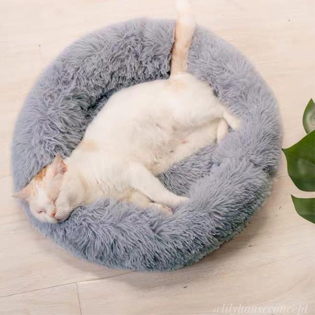 Cat macaron store bed