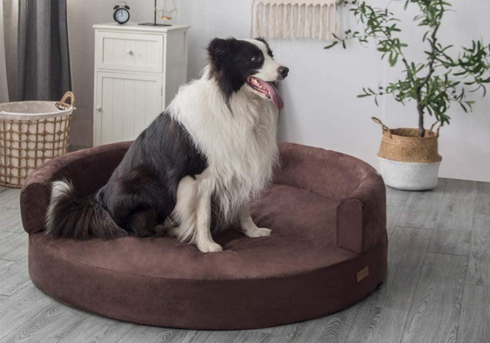 Kopeks deluxe orthopedic memory hotsell foam sofa lounge dog bed