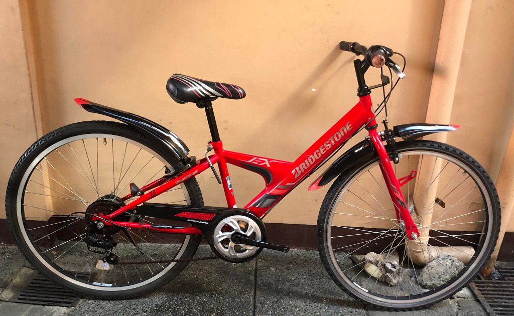 Bridgestone 2025 cycle price