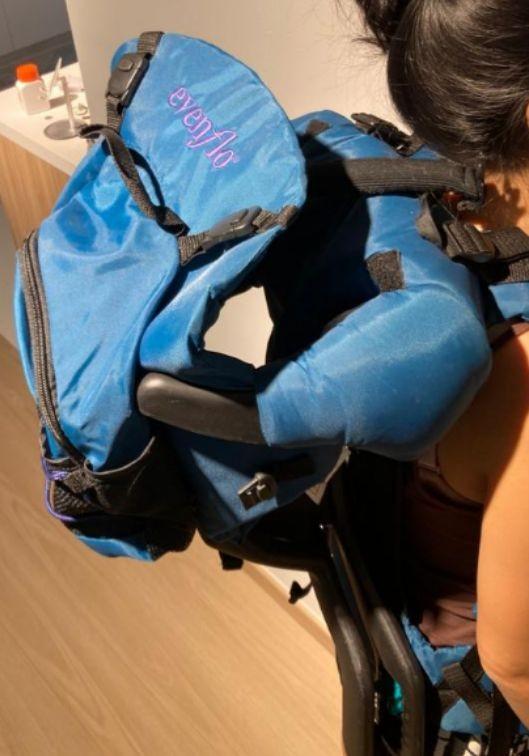Evenflo trailtech backpack carrier discount