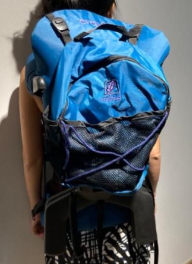 Evenflo trailtech 2025 backpack carrier reviews