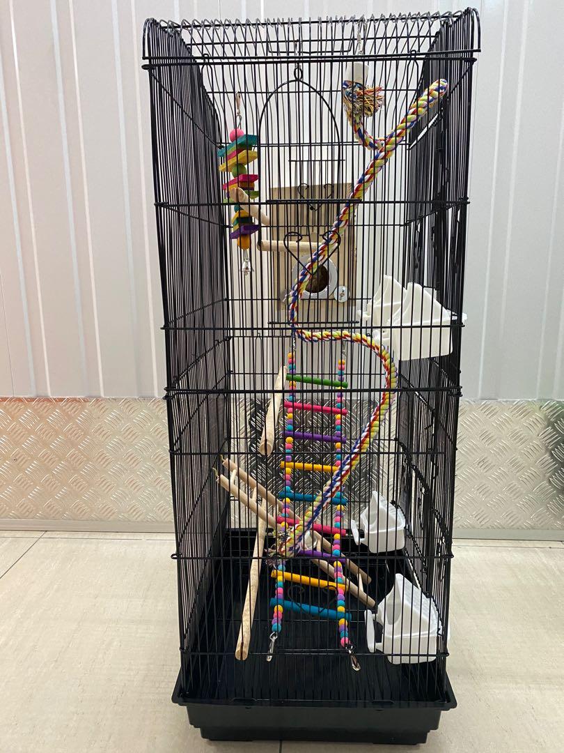 pdsa pet protectors