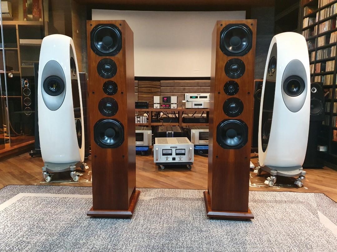 Proac d80 hot sale