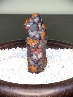 （分類：）位於 。 由 yanyancyy 提交（商品編號 1139167709，圖片 1）。簡介： 。