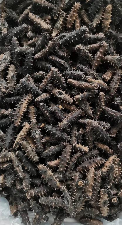 龍軒海味回收中心 全港上門高價收購海味乾貨海參白海參阿拉斯加紅參黃玉參新西蘭海參梅花參紅極參韓國海參美國紅參 健康及營養食用品 健康補充品 健康補充品