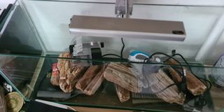(Category: ) located in . Submitted by papow (Listing ID 1138974717, Image 1). Description: .