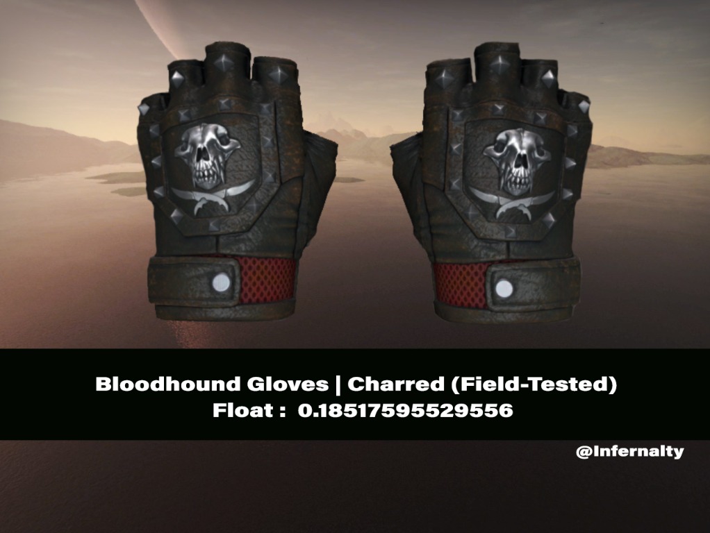 Bloodhound Gloves Charred FT CSGO SKINS KNIVES, Video Gaming, Gaming