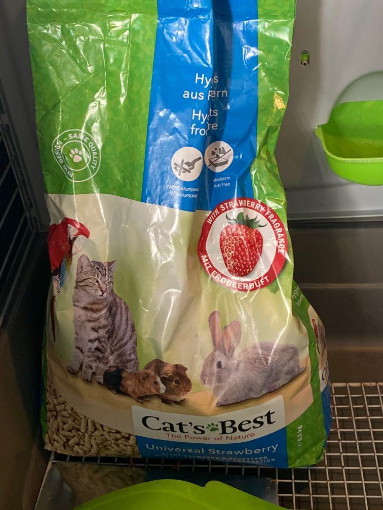 Best non clumping top cat litter