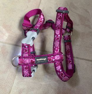 (Category: ) located in . Submitted by alenang (Listing ID 1138987764, Image 1). Description: .