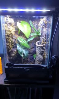 (Category: ) located in . Submitted by jylee3392 (Listing ID 1139130161, Image 1). Description: .