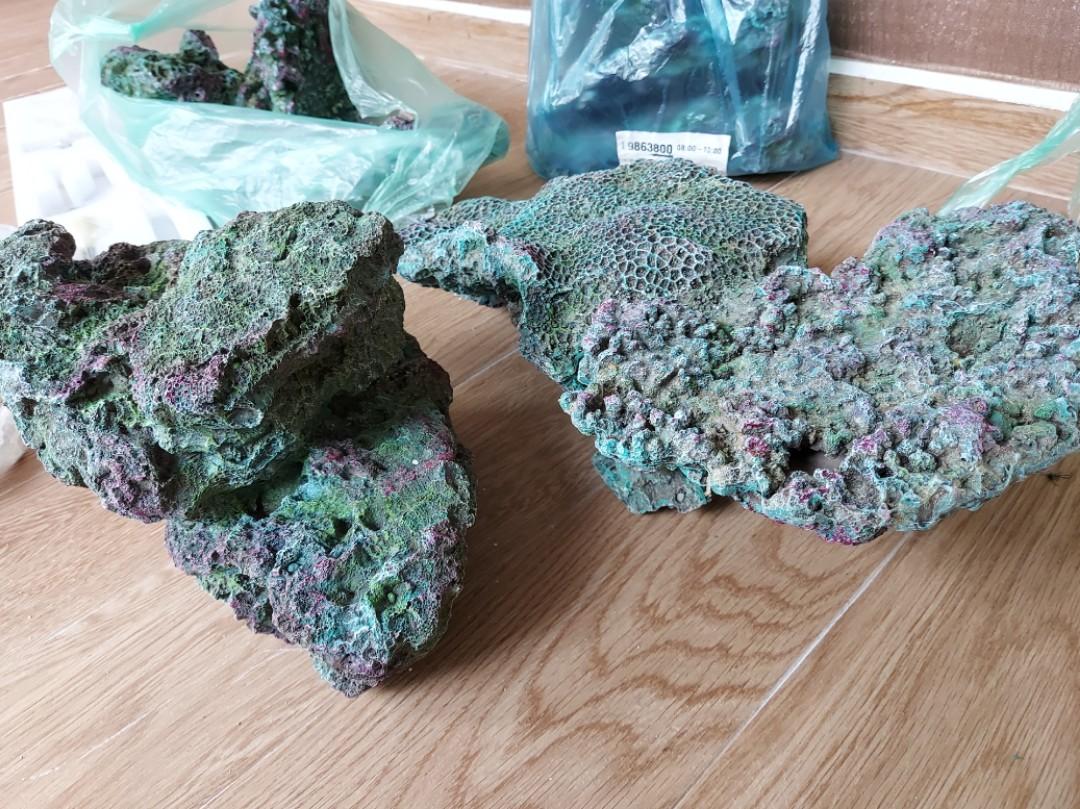 Fake aquarium rocks, Pet Supplies, Homes & Other Pet Accessories on