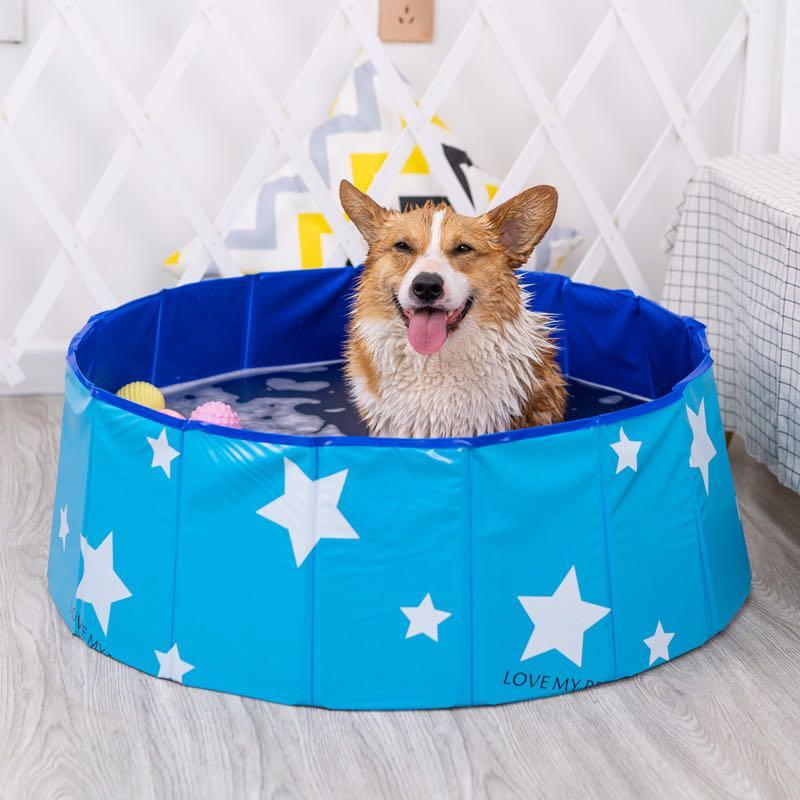 Outdoor pet shop bath