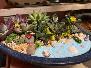 (Category: ) located in . Submitted by judyeo (Listing ID 1139129127, Image 1). Description: .