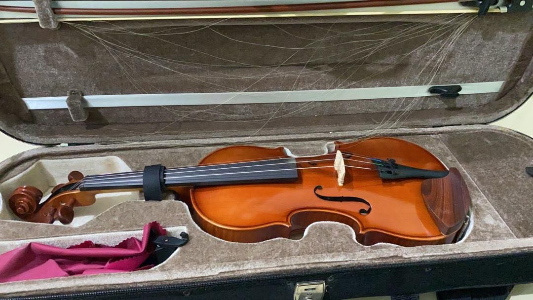 Violin house of violin, Hobbies & Toys, Music & Media, Musical