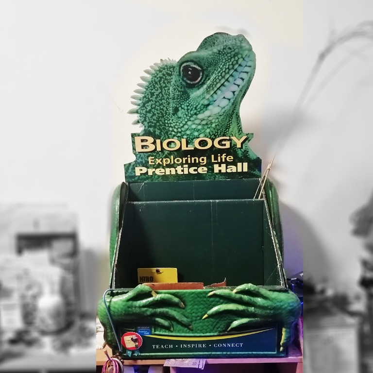 3D Lizard Reptiles Display Shelf, Furniture & Home Living, Furniture