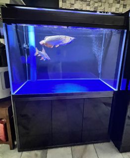 (Category: ) located in . Submitted by csleon76 (Listing ID 1139234249, Image 1). Description: .