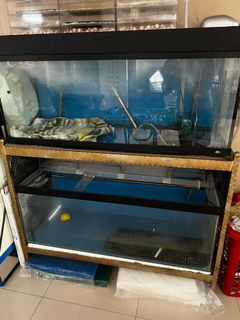(Category: ) located in . Submitted by ming81 (Listing ID 1139256876, Image 1). Description: .