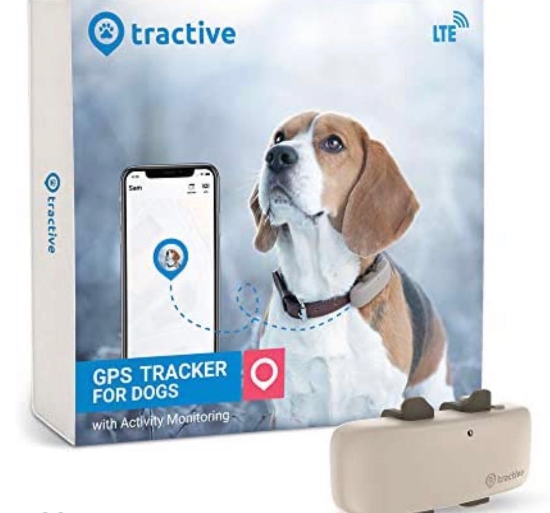 狗寵物tractive Gps Lte 寵物用品 寵物家品及其他 Carousell