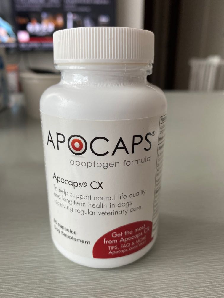 Apocaps best sale for dogs