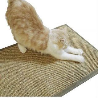 (Category: ) located in . Submitted by sz321 (Listing ID 1139240349, Image 1). Description: .