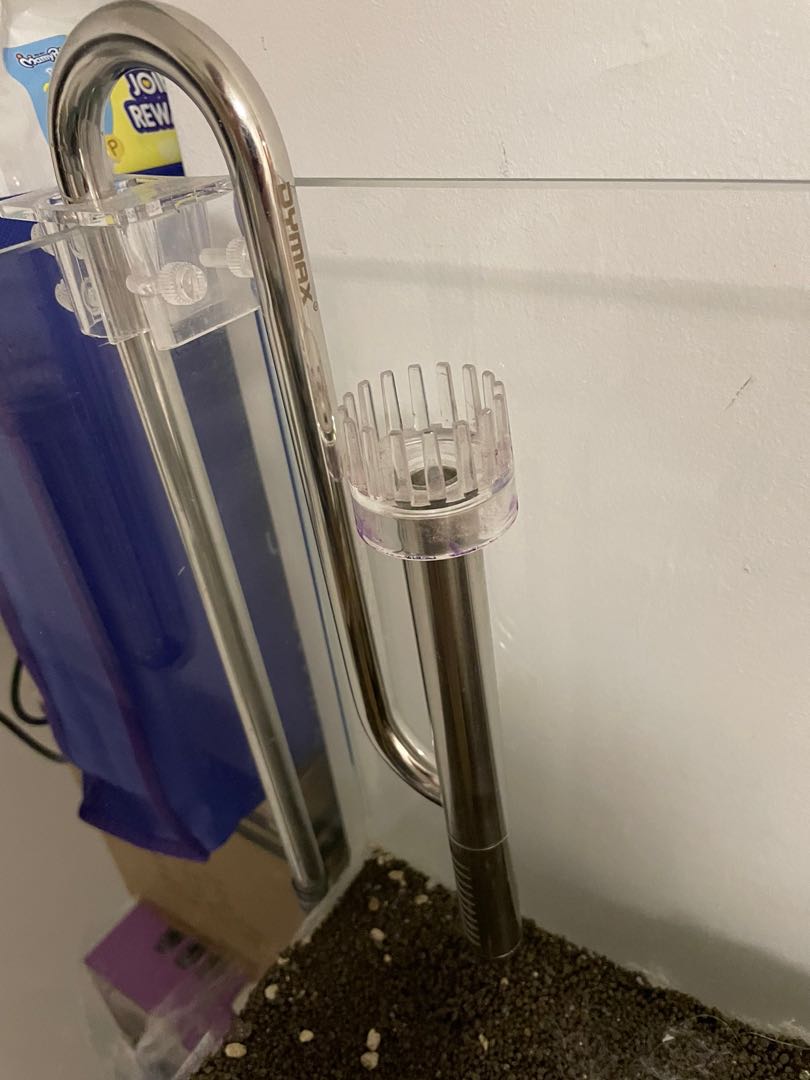 Dymax Lily Pipe Surface Skimmer 12/16mm, Pet Supplies, Homes & Other