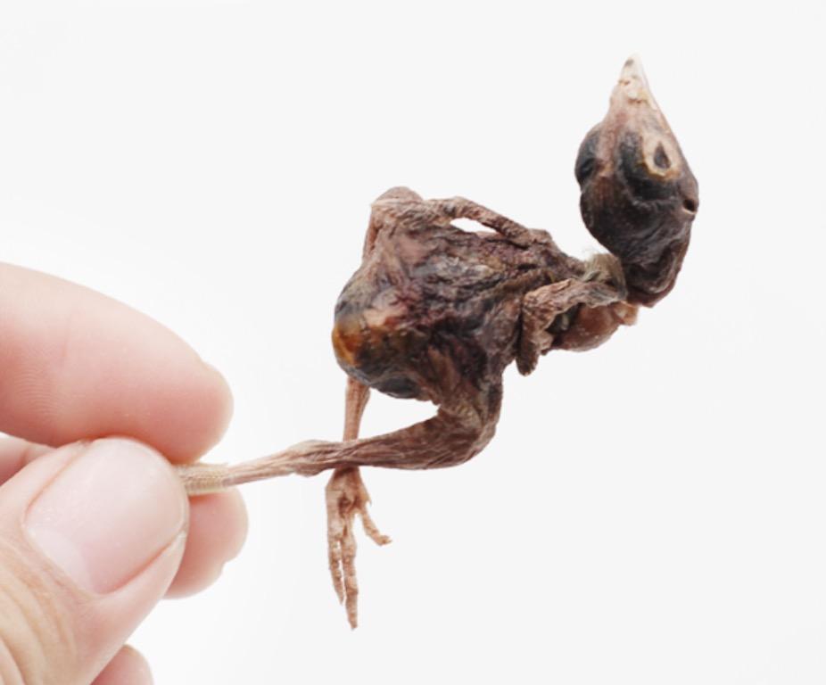 Freeze online dried quail