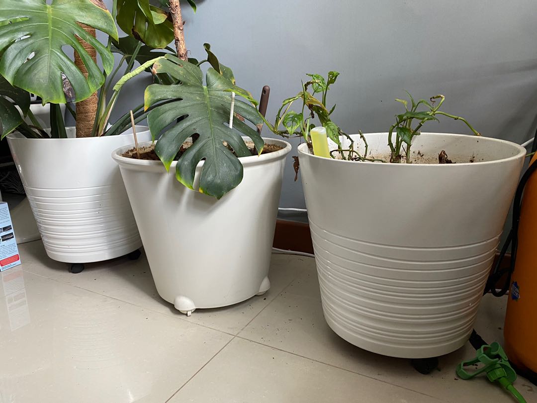 IKEA flower pots x 16 for sale, Furniture & Home Living, Gardening