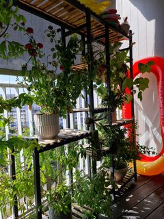(Category: ) located in . Submitted by constantia18 (Listing ID 1139198651, Image 1). Description: .