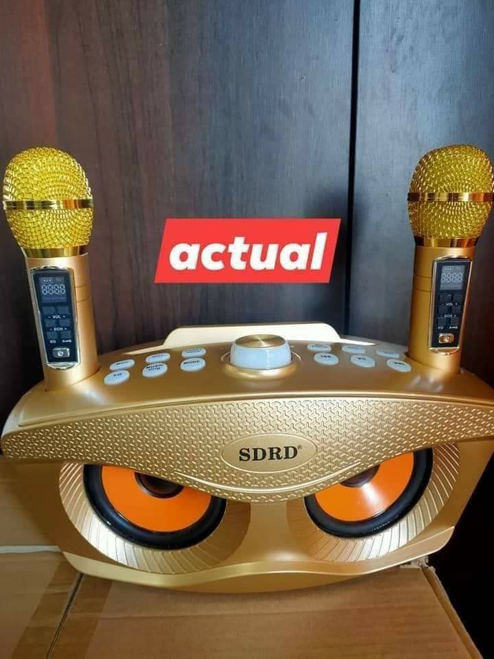 SDRD BLUETOOTH KARAOKE SPEAKER