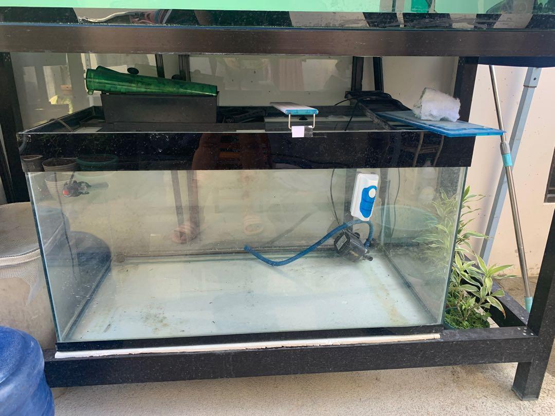 Second hand fish tanks hotsell for sale