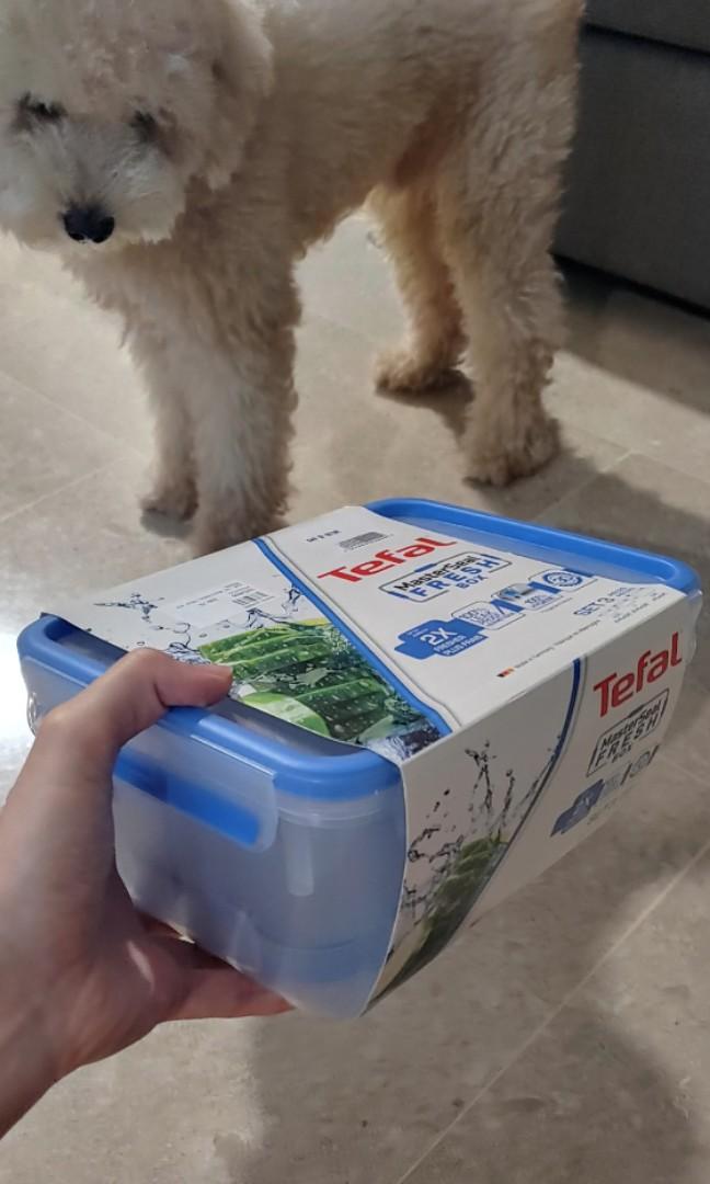 Tefal Container (Category: Storage Boxes & Baskets) located in Singapore. Submitted by omgrve (Listing ID 1139325721, Image 1). Description: Tefal Masterseal fresh box Brand new 100% leak proof lunch boxes/ food container. Set of 3, containing: 1x0.5L, 1x1L and 1x2.3L Meet up at Outram Park MRT, Pasir Ris MRT or SMU..