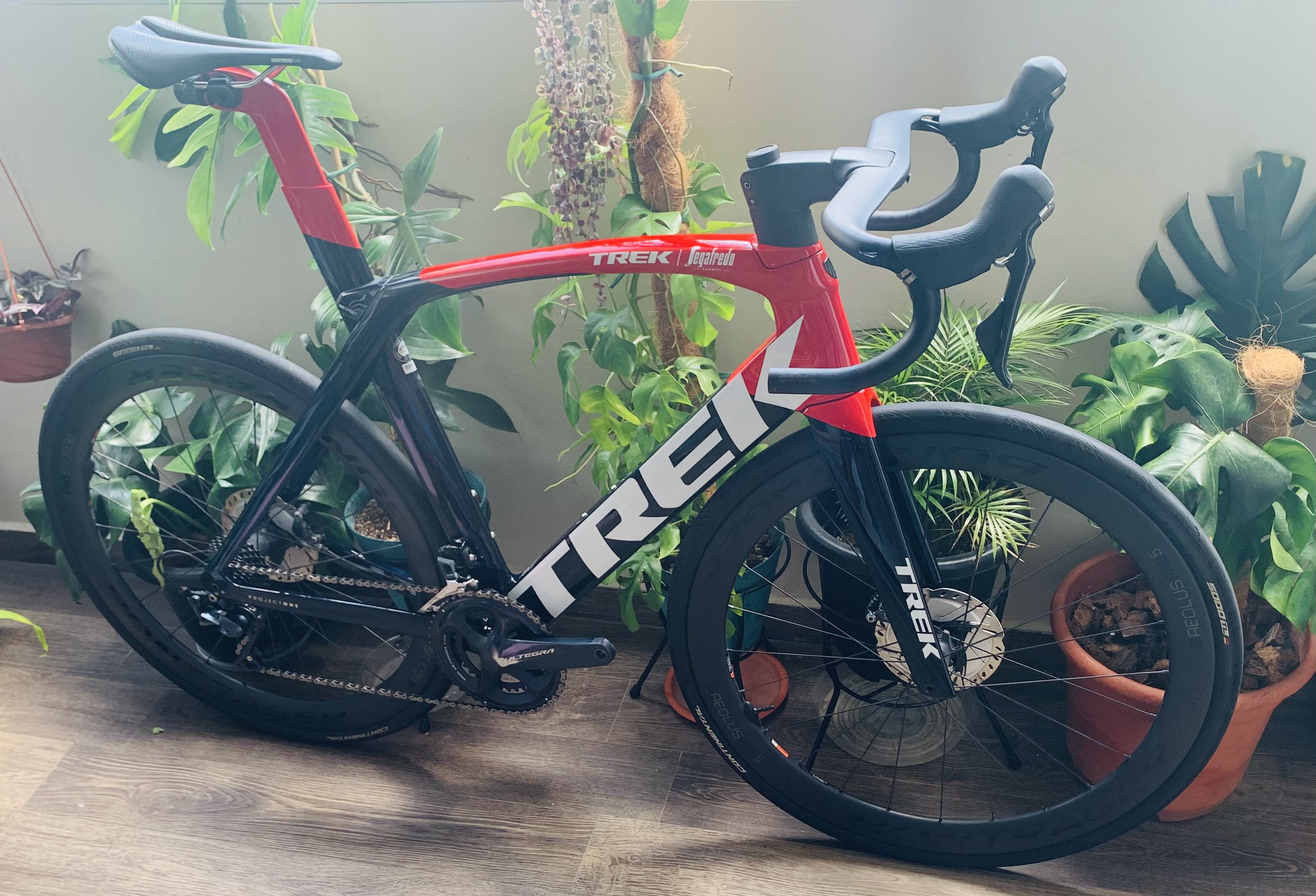 Trek 2025 madone 9.6
