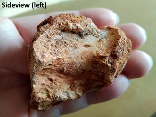 (Category: ) located in . Submitted by paleoevidence (Listing ID 1139579559, Image 1). Description: .