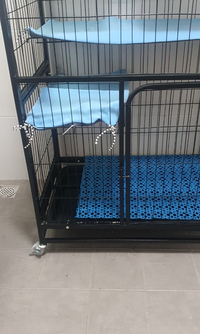 Cat Cage, Furniture & Home Living, Furniture, Other Home Furniture on