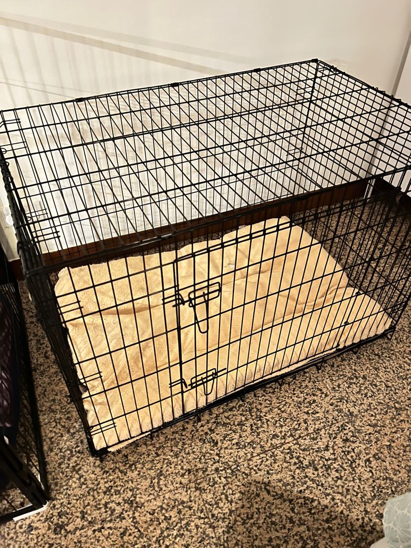 Hardly used Dog crate for big size dogs, Pet Supplies, Homes & Other